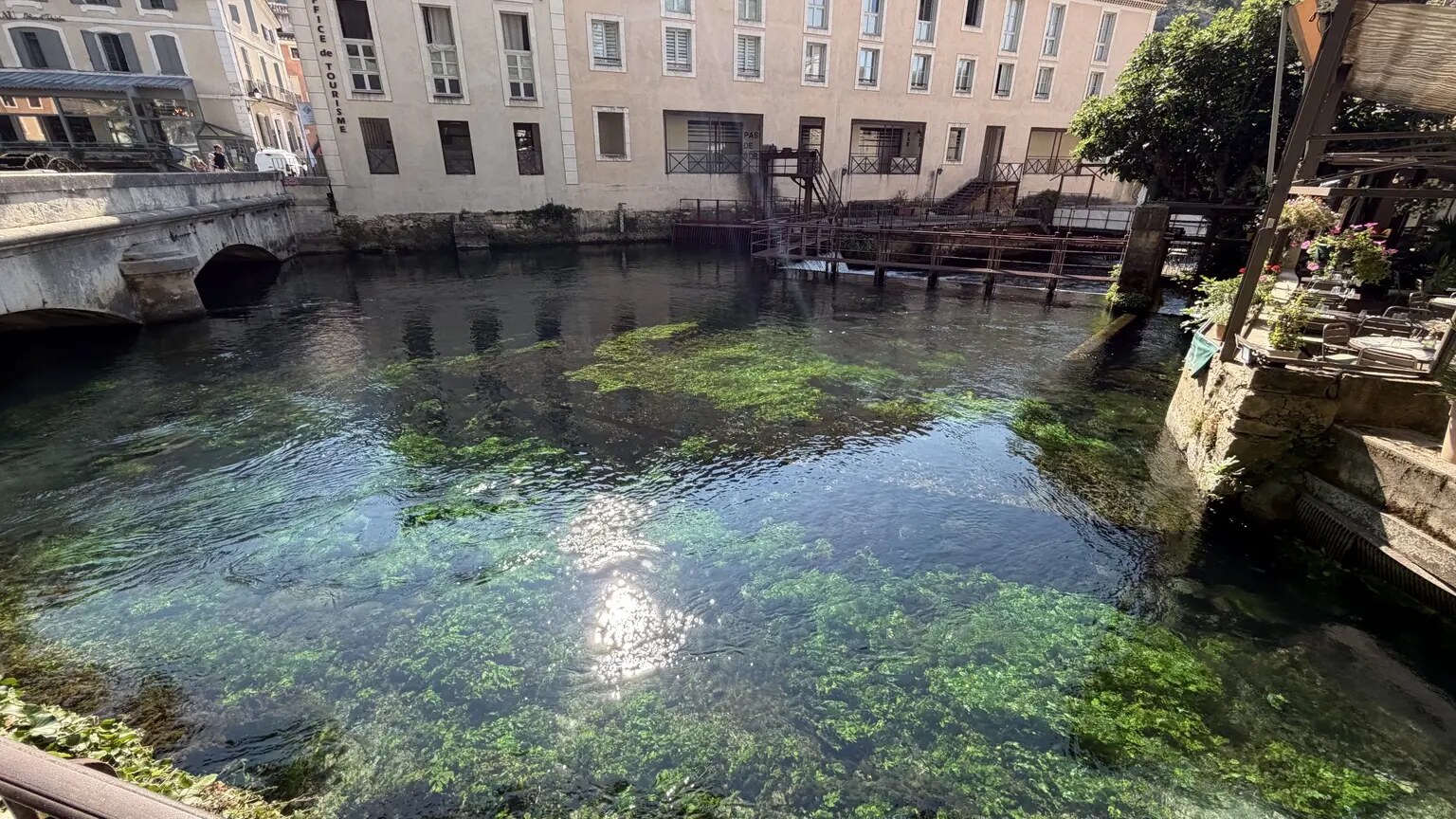 Kristalhelder water met groene waterplanten